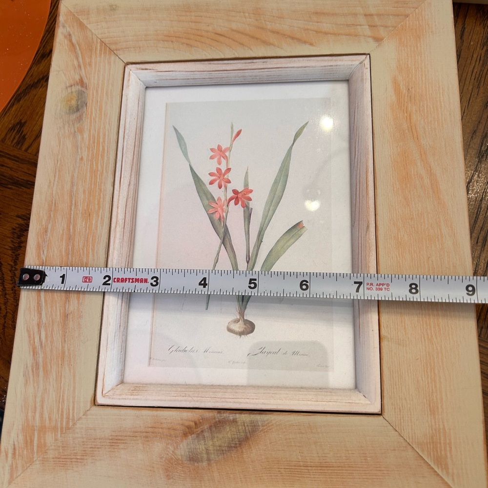 Natural Wood Framed Botanical Prints Set - Picture 5 of 9